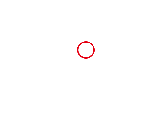 正解5